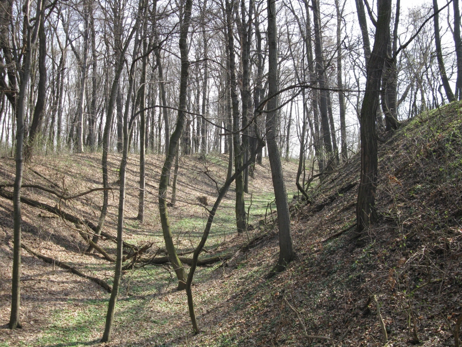 Zdroj: Muzeum Ostrava