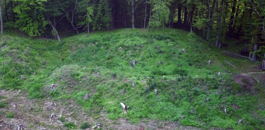 Štíhlice. Autor: J. Mařík.