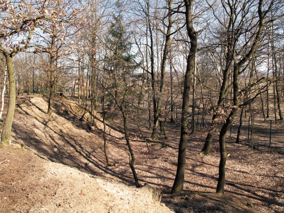 Čtyřúhelníkový valový areál u Mšeckých Žehrovic.