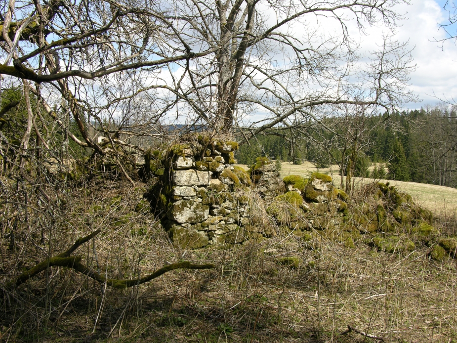 Rozvaliny usedlosti v zaniklé osadě Šance. Autor: M. Bureš.