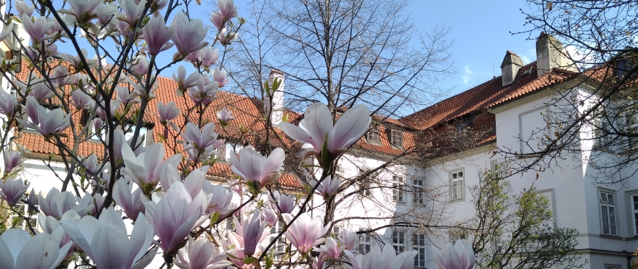 „Úplně nejhorší ze všeho jsou archeologové“ – reakce na vystoupení poradce premiéra  Štěpána Křečka