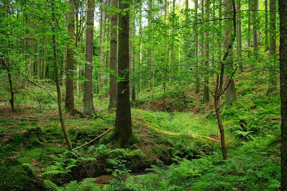 Foto: L. Šoltysová.