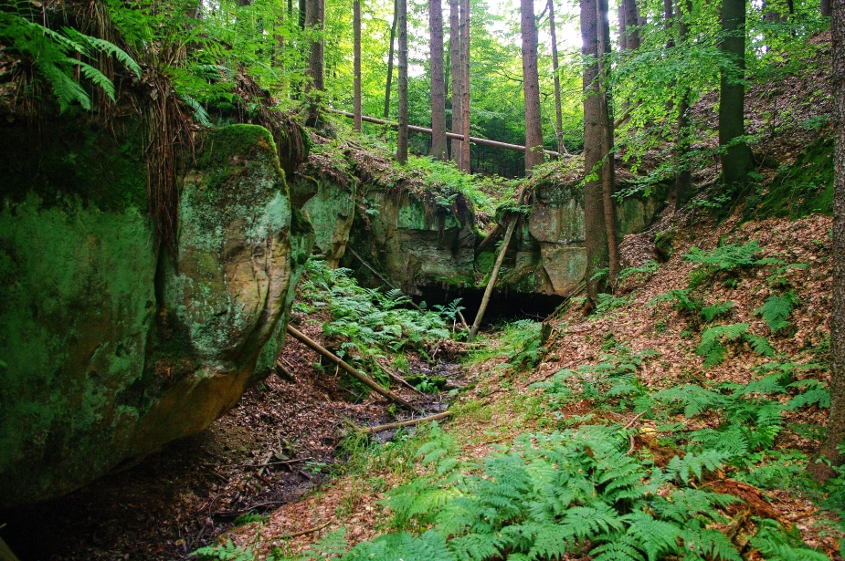 Foto: L. Šoltysová.