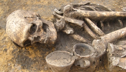 Lecture Dynamic changes in genomic and social structures in third millenium BCE central Europe – May 12th, 2022, 2:30 p.m.