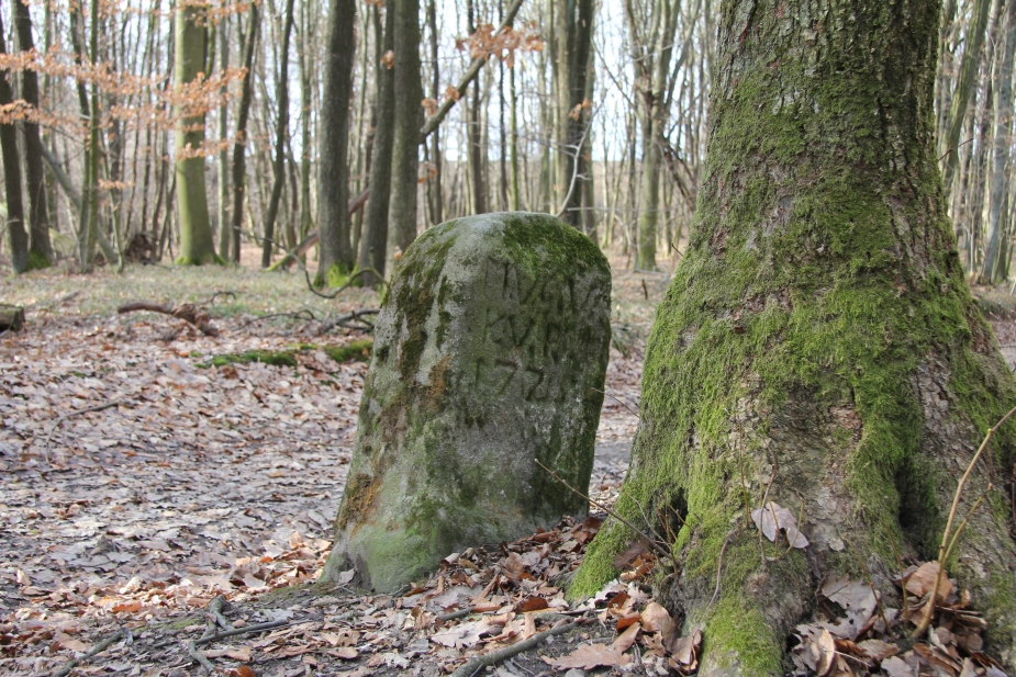 Hraniční kámen u mohylníku. Foto Z. Kuchař.