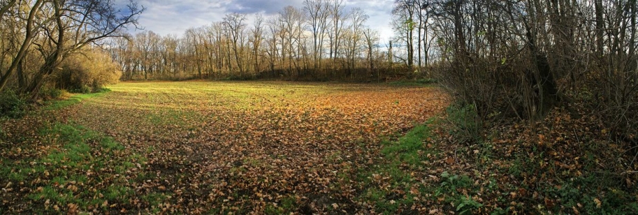 Hradiště Vinoř. Foto: J. Marounek.