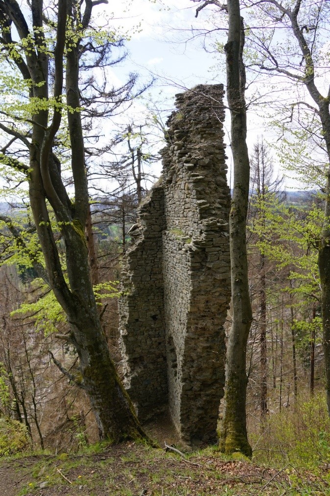 Pozůstatky tzv. věže na hradě Štamberk. Foto: autor D. Zimola.