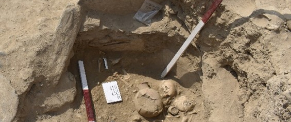 Lecture | Recent Archaeological Discoveries from Pakistan