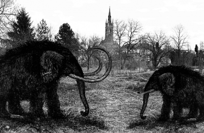 Pro veřejnost | Mezinárodní den archeologie na Hrádku