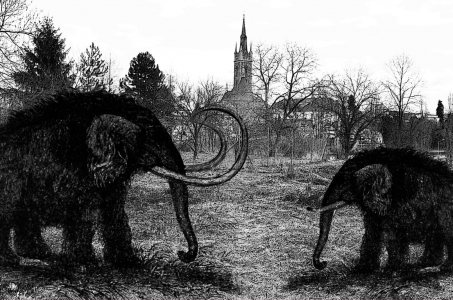 Pro veřejnost | Mezinárodní den archeologie na Hrádku