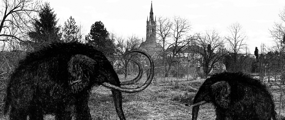 Pro veřejnost | Mezinárodní den archeologie na Hrádku