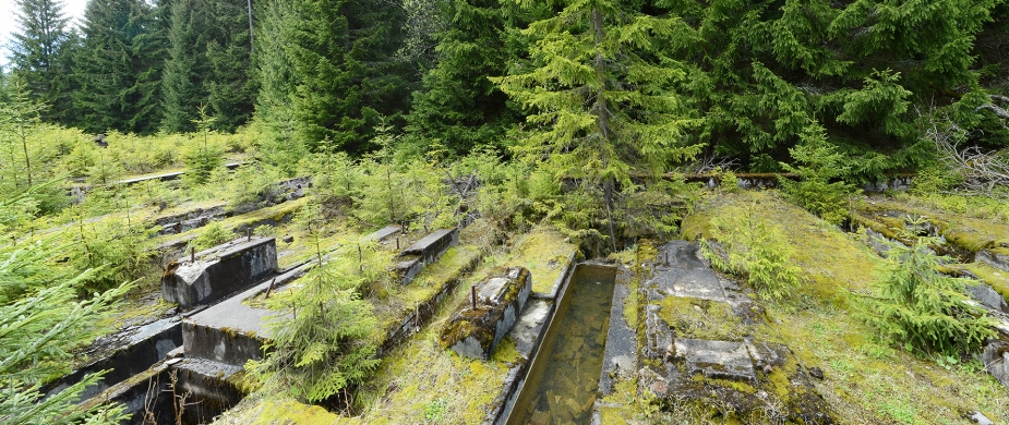 Workshop | Spatialization of Memory in Traumatized Regions