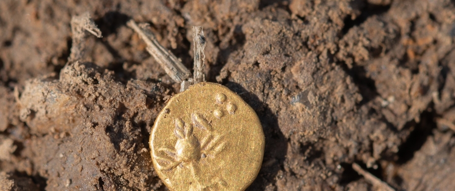 Tisková zpráva | Výstava k utajované keltské lokalitě na Plzeňsku