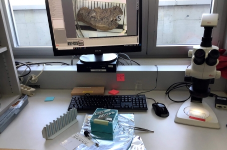 Lecture | Radiocarbon dating in Medieval Archaeology