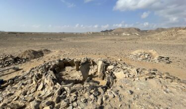 Tisková zpráva | Lov žraloků v Ománu