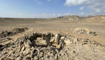 Tisková zpráva | Lov žraloků v Ománu