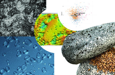 Lecture | Disclosing the role of plants in prehistoric lifeways