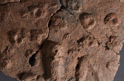 Přednáška | Neolithisation dynamics from the Aegean to Central Europe