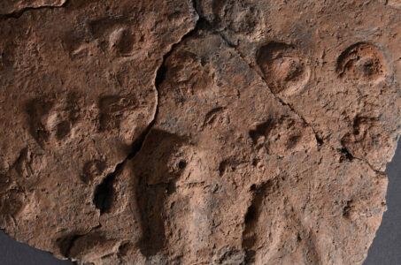 Lecture | Neolithisation dynamics from the Aegean to Central Europe