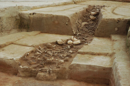 Přednáška | Skulls, Sherds, Smashed Skeletons