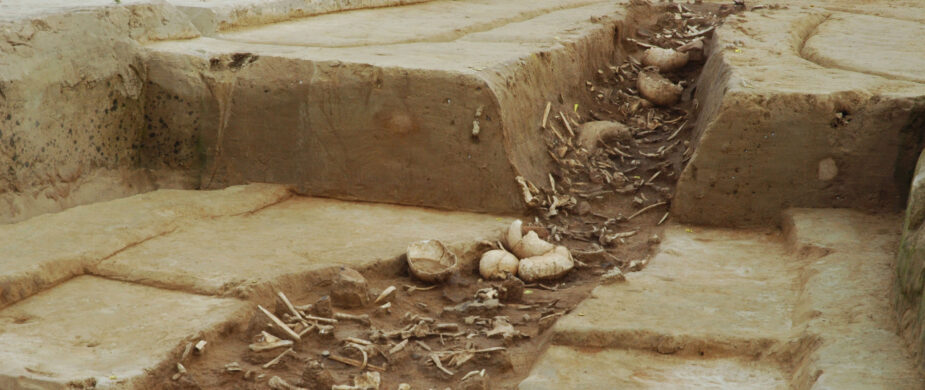 Lecture | Skulls, Sherds, Smashed Skeletons