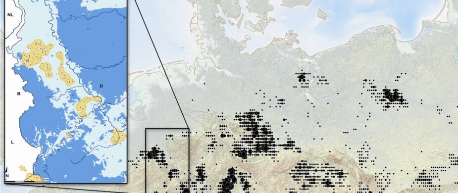 Lecture | Borderlands: New Approaches to the LBK on Its Western Margins